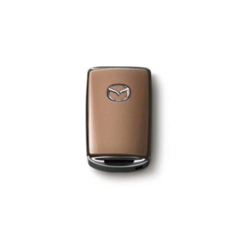 Boitier de clé Melting Copper