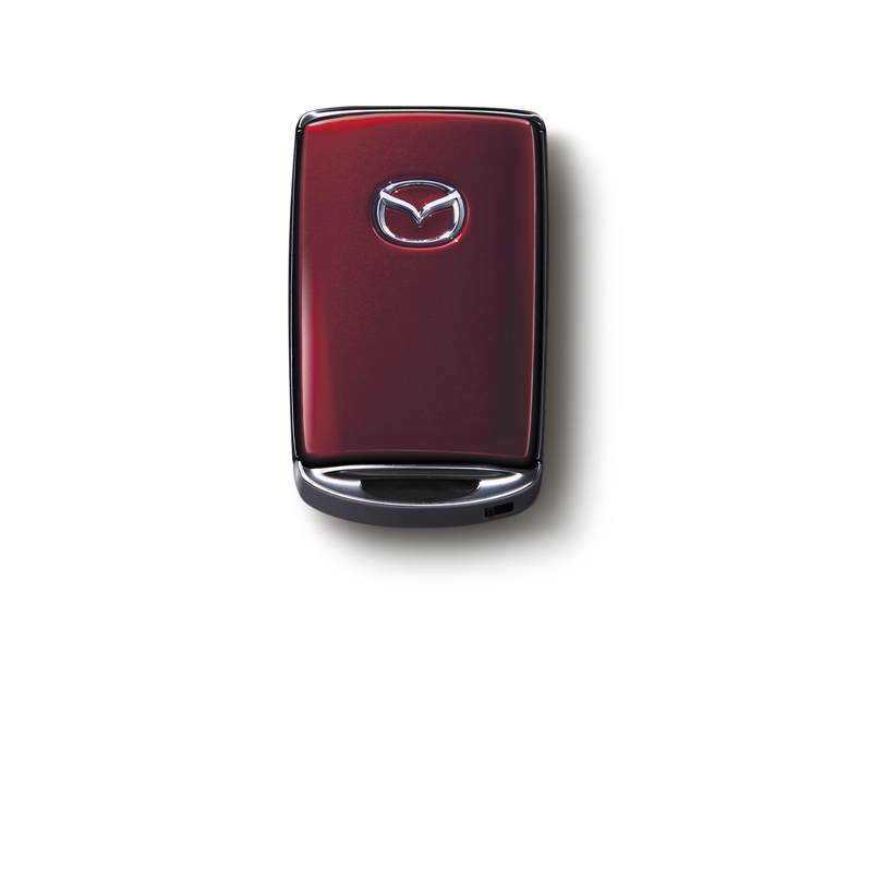 Boitier de clé Soul Red Crystal
