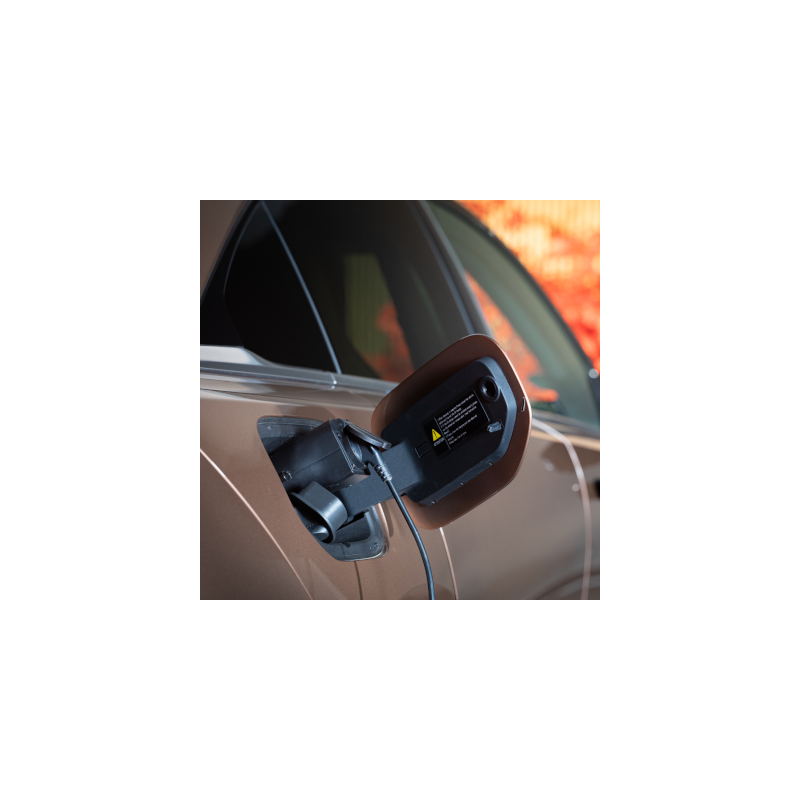 Adaptateur (V2L)