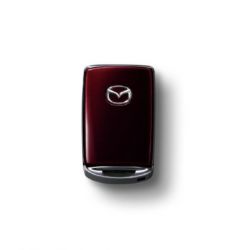 Boitier de clé Artisan Red (51F)