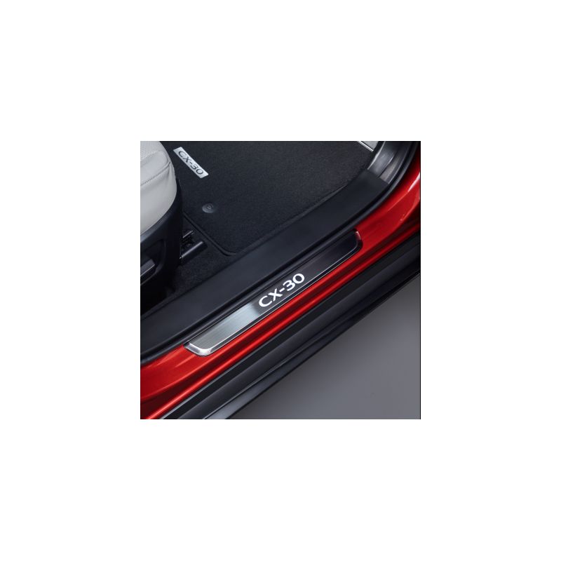 Plaques de seuil de porte illuminées