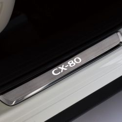 Plaques de seuil de porte illuminées