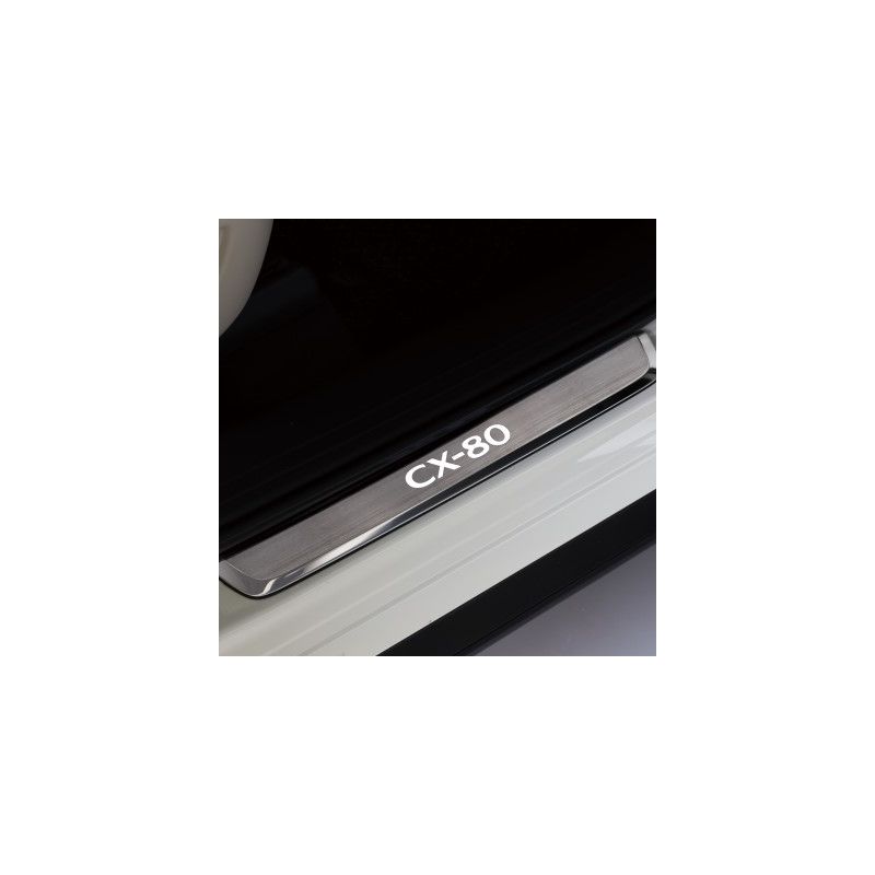 Plaques de seuil de porte illuminées