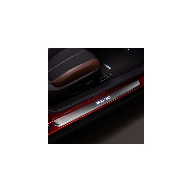 Plaques de seuil de porte illuminées