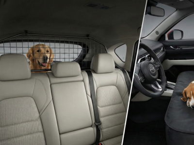 Transport d'animaux : Grille de séparation ou Housse de siège pour votre Mazda ?